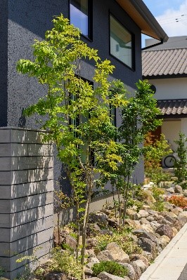 庭や外構、後回しにしていませんか?家の顔とも呼べるエクステリアはトータルコーディネートが必須!