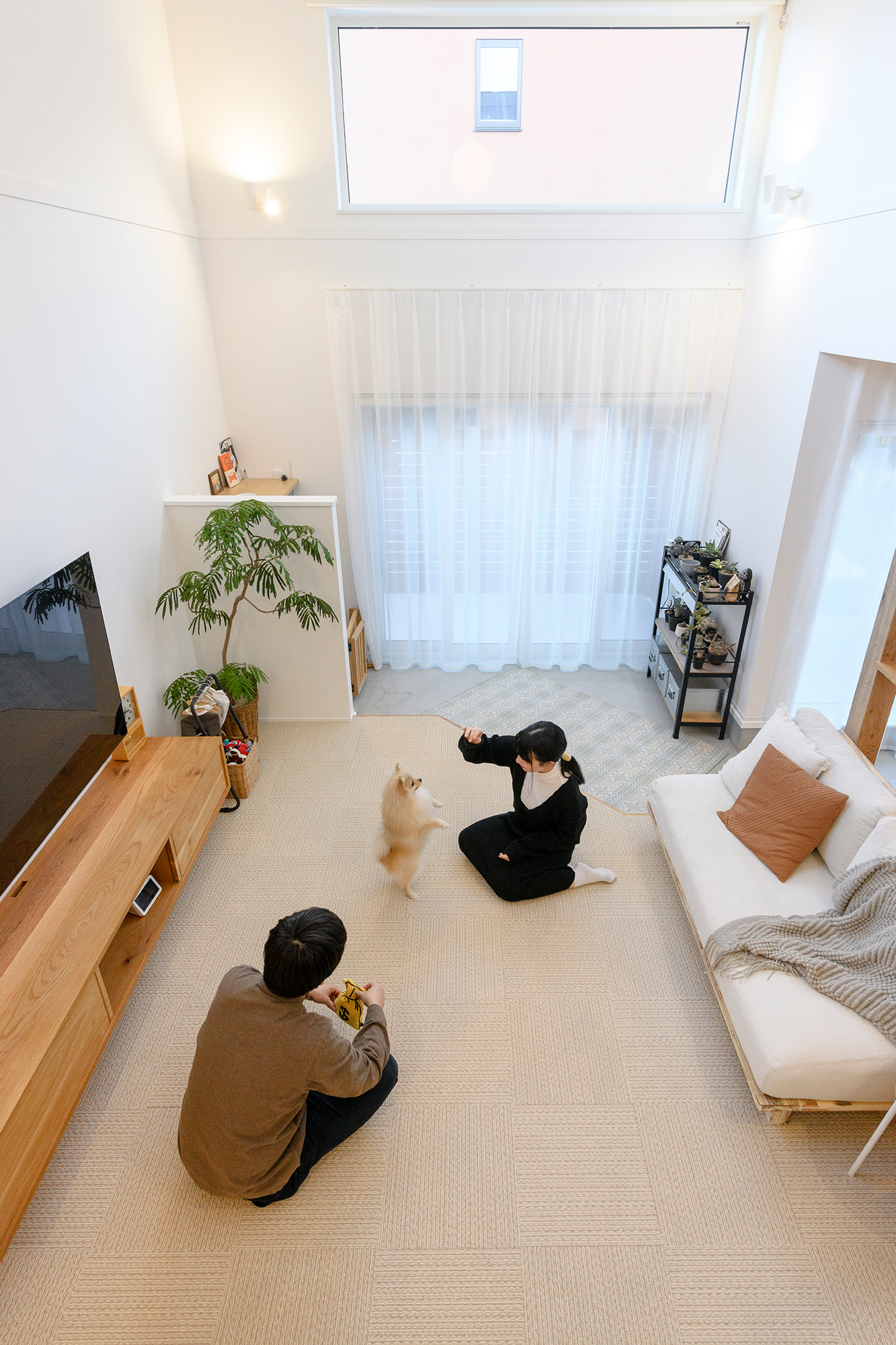 デザインと機能性を両立したシアタールームのある家