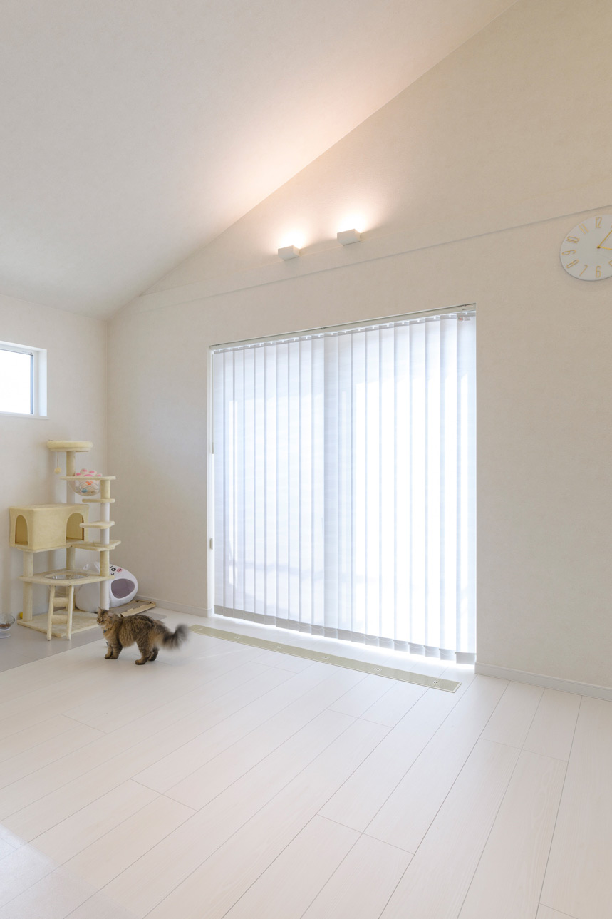 ホワイトインテリアのLDKで愛猫と暮らす収納たっぷりな平屋